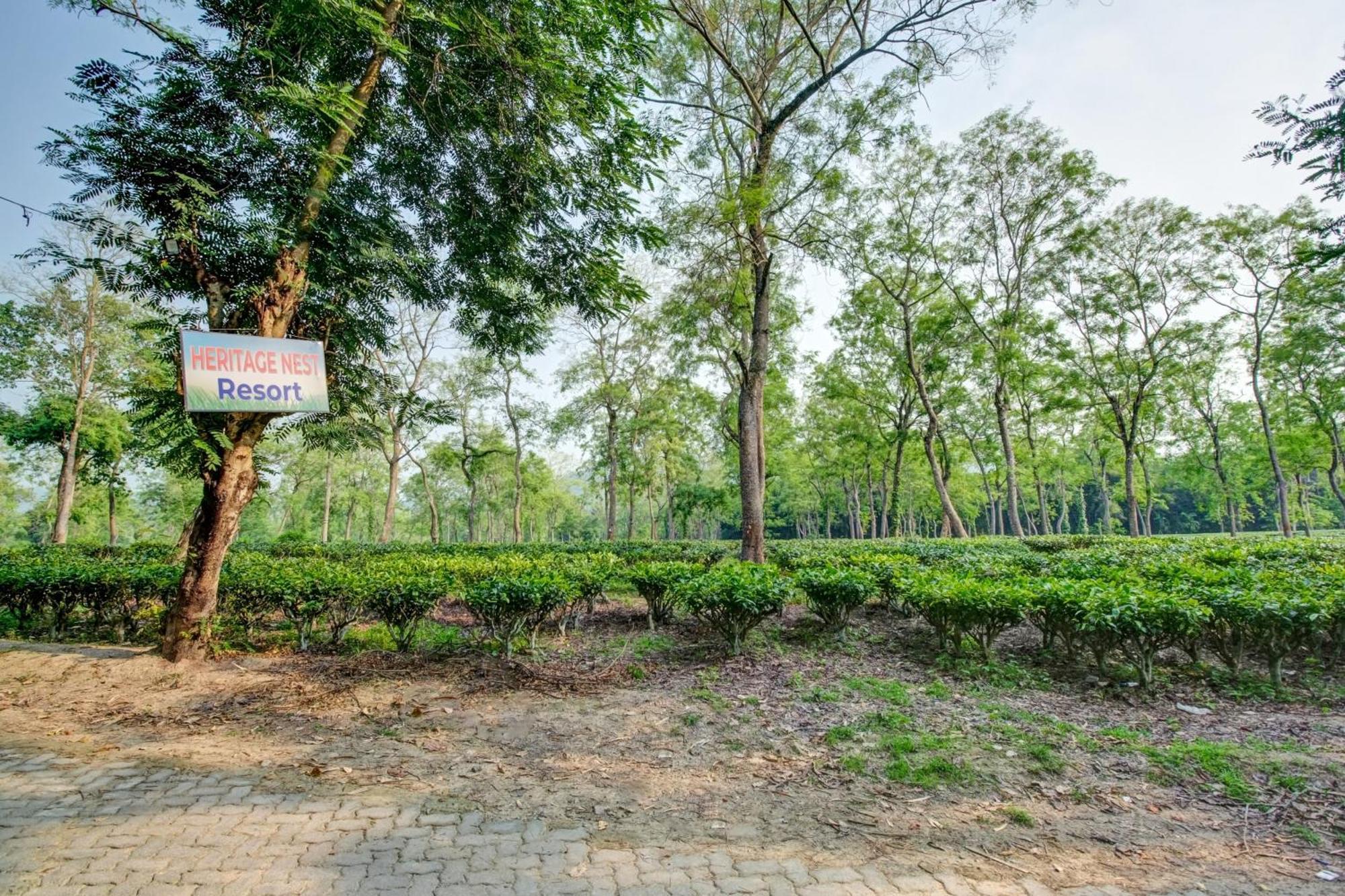 Hotel O Heritage Nest Resort Kazirnga Kāziranga المظهر الخارجي الصورة